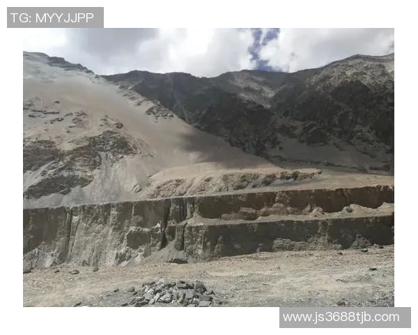 深度对话探寻杨秀英在英雄联盟中的成长与挑战之路